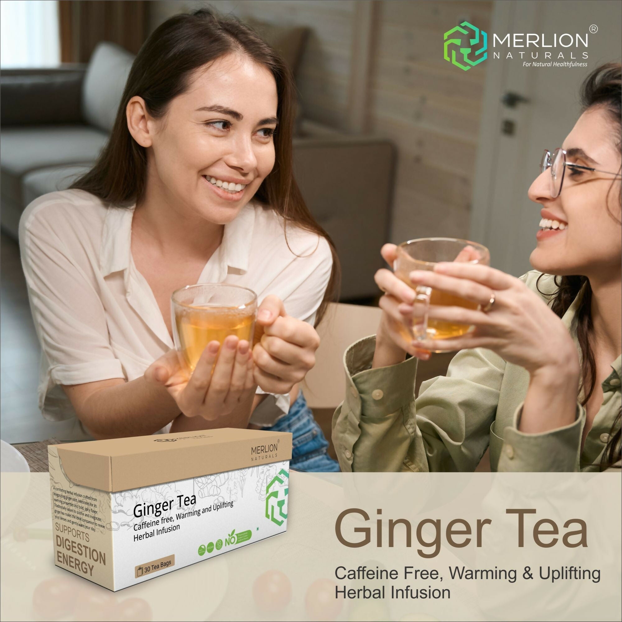 Merlion Naturals Ginger Tea Bags Merlion Naturals