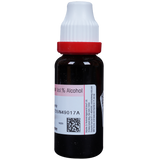 Dr. Reckeweg Gymnema Syl Mother Tincture Q