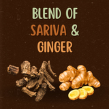 Satvi Wellness Sariva Ginger Herbal Infusion Mix In Indvidual Packets | Herbal Tea Sache Satvi Wellness