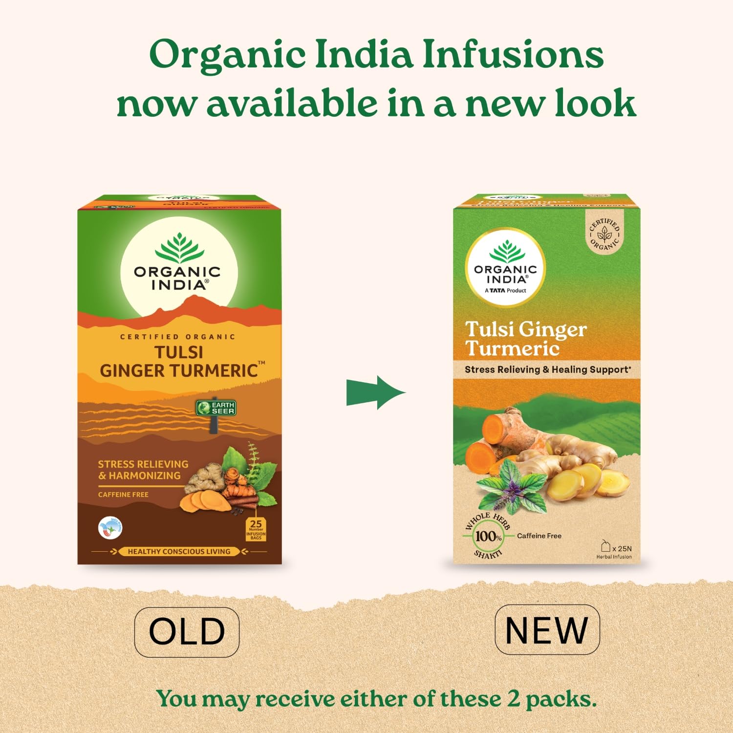 Organic India Tulsi Ginger Tea Tin Organic India