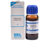 SBL Homeopathy Chimaphila Umbellata Mother Tincture Q - Safuron