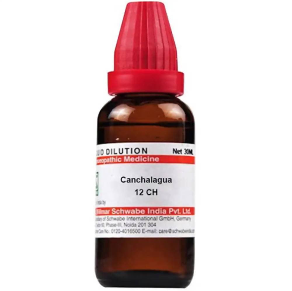 Dr. Willmar Schwabe India Canchalagua Dilution