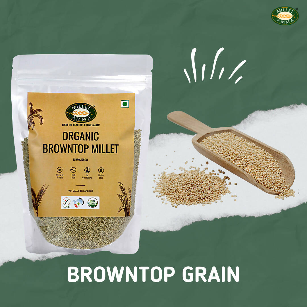 Millet Amma Organic Browntop Millet Grains Millet Amma