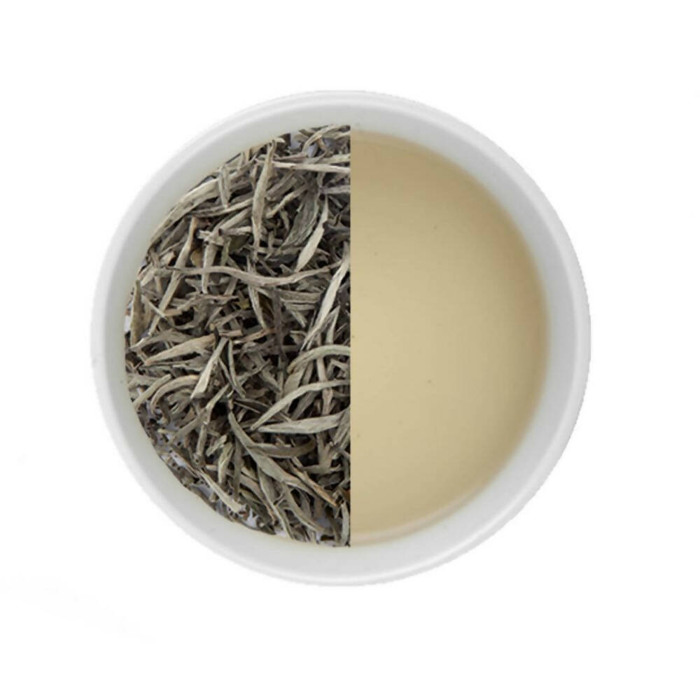 Tea Sense Silver Needle White Tea Tea Sense