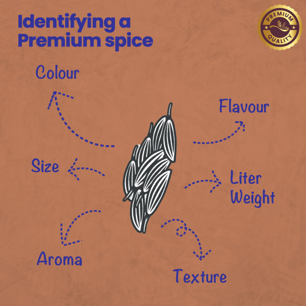 Crista Spices Cumin Powder Crista Spices