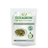 Yuvagrow Premium Cardamom (Elachi) Yuvagrow