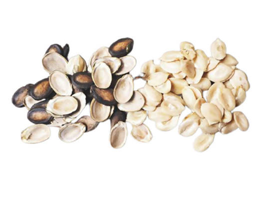 Freshon Organic Watermelon Seeds - Safuron
