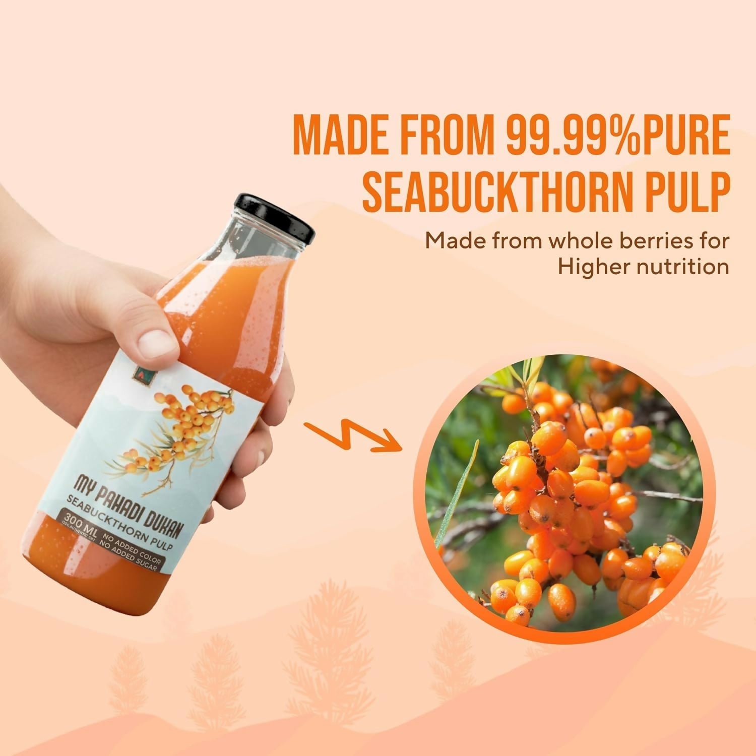 My Pahadi Dukan Himalayan Sea Buckthorn Pulp My Pahadi Dukan