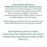 Biotique Advanced Ayurveda Bio Morning Nectar Visibly Flawless Serum