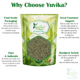 Yuvika Sonf Choti - Saunf Barik - Foeniculum Vulgare - Fennel Seeds Small Yuvika