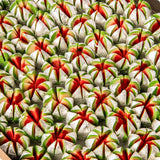 Shree Mithai Kaju Flower Shree Mithai