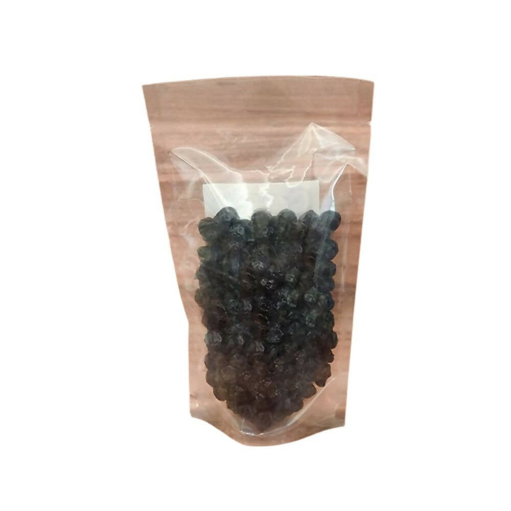 Satjeevan Organic Dried Blueberries Satjeevan