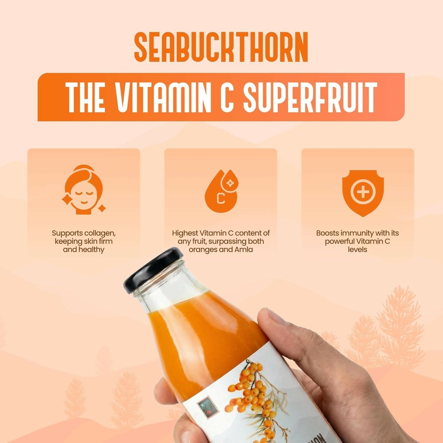 My Pahadi Dukan Himalayan Sea Buckthorn Pulp My Pahadi Dukan