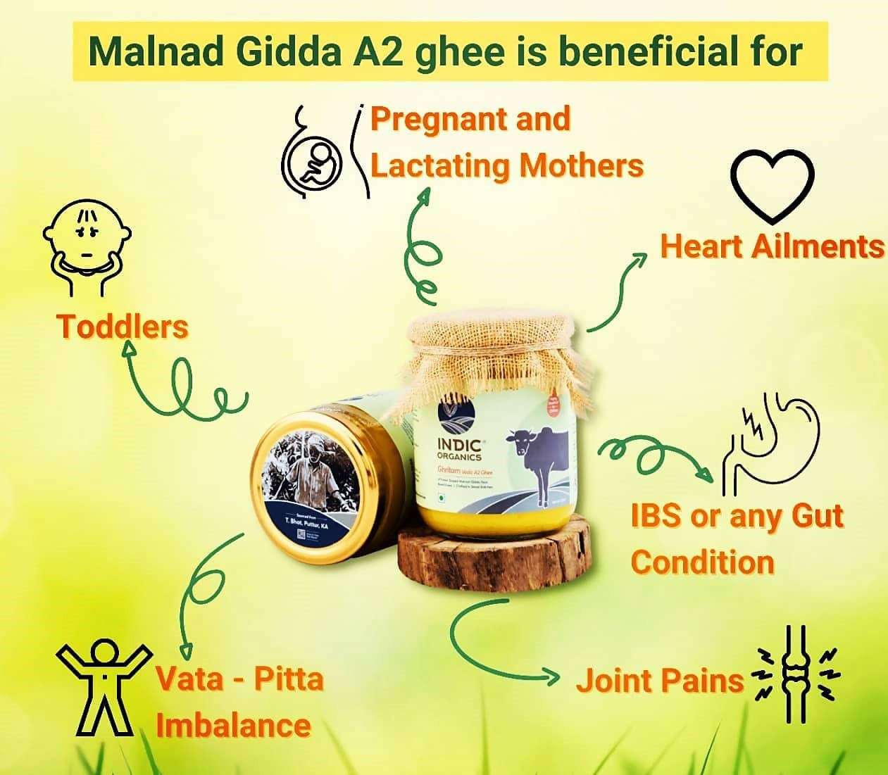 Indic Organics Forest Grazing Malnad Gidda Desi Cow's A2 Ghee | Pure Desi Cow Ghee | Cultured Premium Ghee Indic Organics