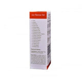 Sunshine Tea Indian Kahwa Tea Sticks Sunshine Tea