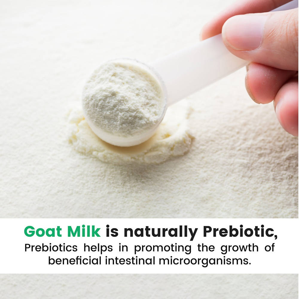 Hye Foods Goat Milk Powder Aadvik