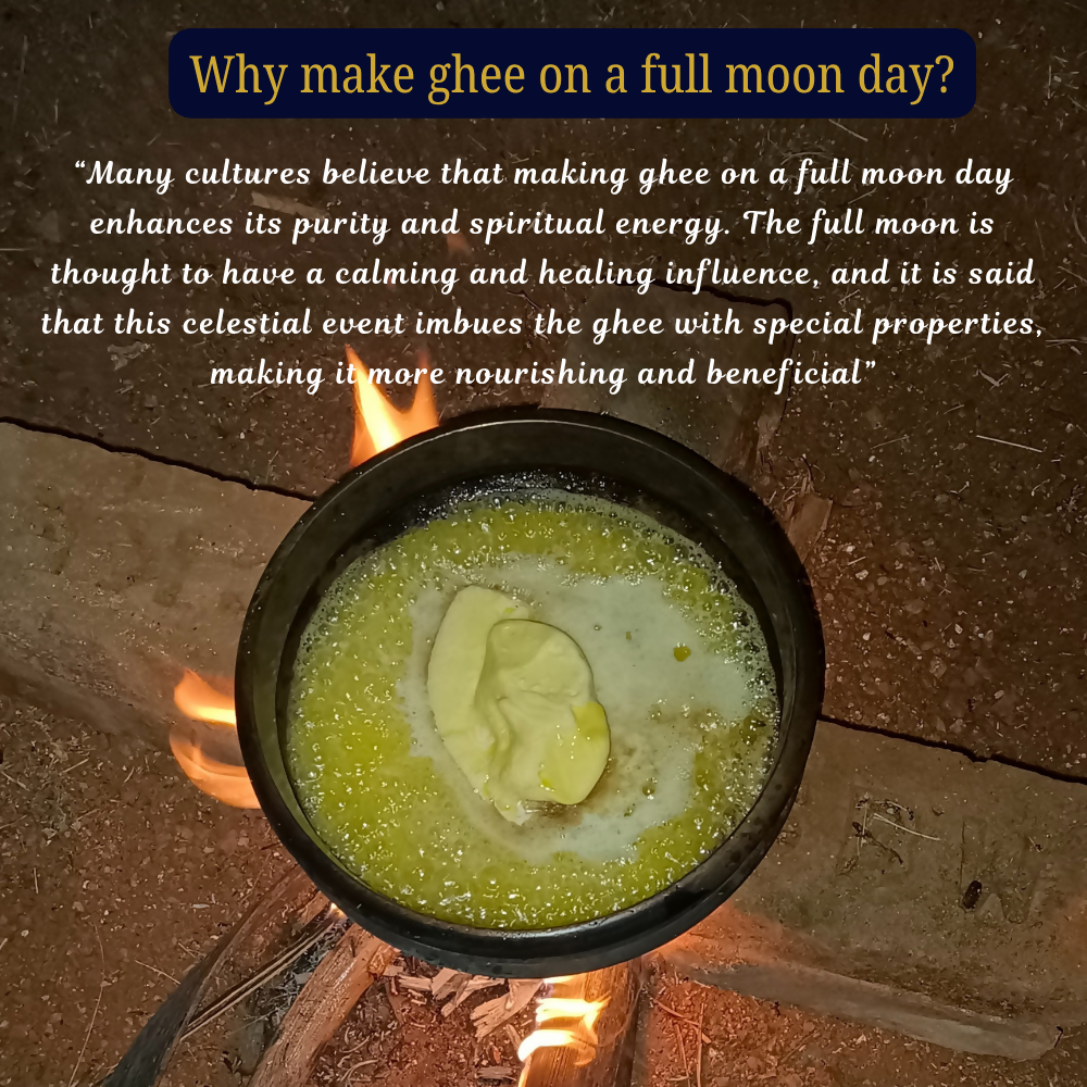 Tatsat Full Moon Day Ghee From Forest Gazing Amruth Mahal A2 Cows | Pure A2 Ghee, Natural & Healthy, Non-GMO Tatsat