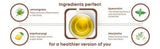 Shivamastu Ayurveda Sugarwise Herbal Tea - 20 Pyramid Teabags Shivamastu Ayurveda