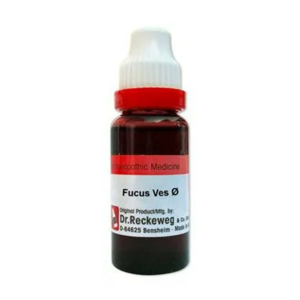 Dr. Reckeweg Fucus Vesic Mother Tincture Q - Safuron Naturals