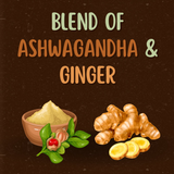 Satvi Wellness Ashwagandha Ginger Herbal Infusion Mix In Indvidual Packets | Herbal Tea Sachet Satvi Wellness