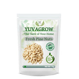 Yuvagrow Fresh Pine Nuts - Safuron