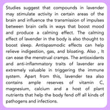 Satvi Wellness Lavender flower Tea | Lavender tea | Lavender flower drink mix | Herbal Tea Satvi Wellness