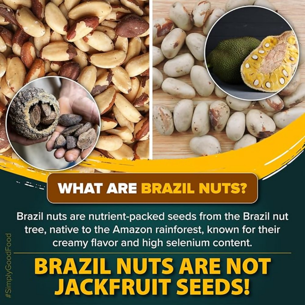 Urban Platter Brazil Nuts Urban Platter