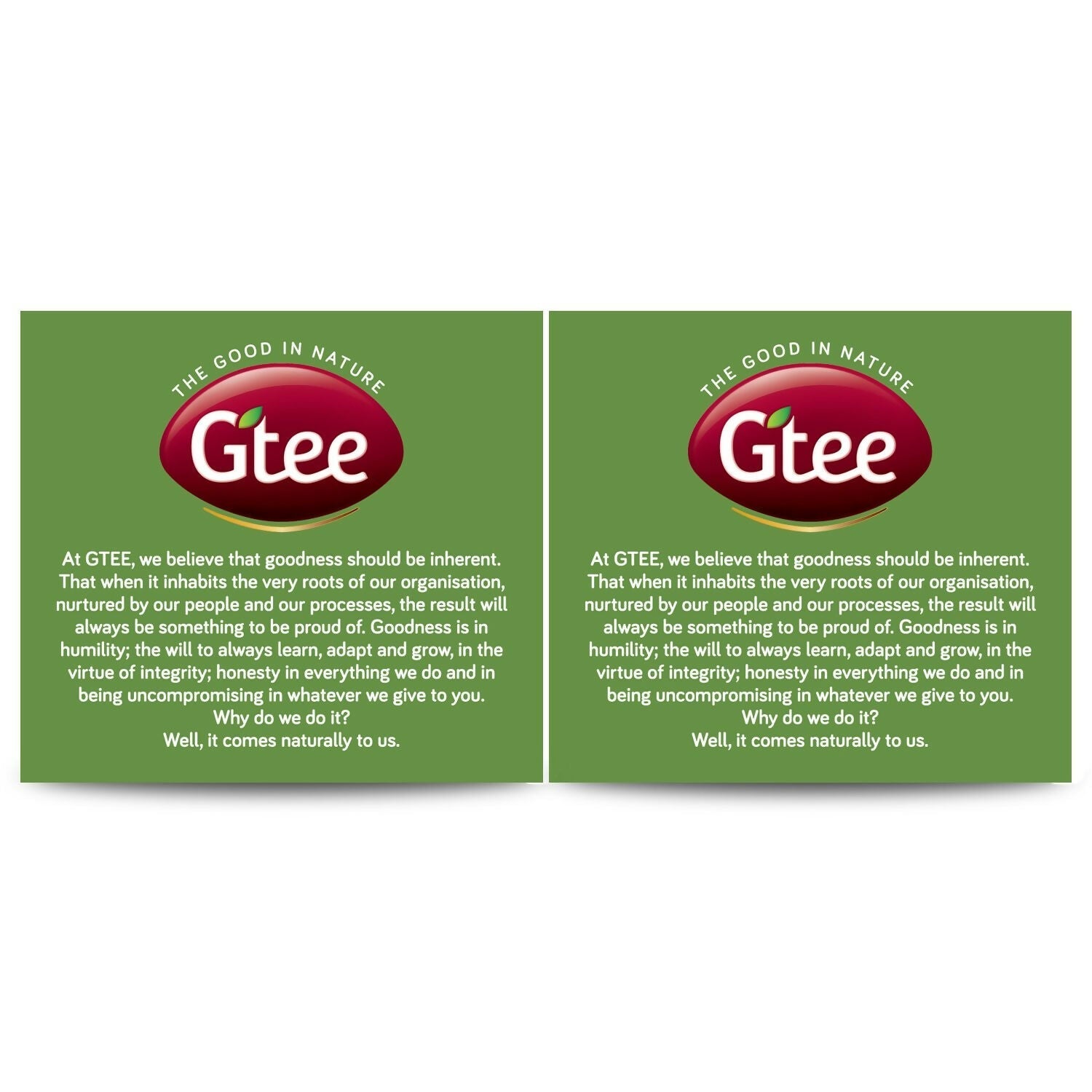 Gtee Green Tea Bags - Regular Gtee
