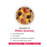 True Elements Millet Granola True Elements