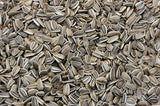 Freshon Organic Sunflower Seeds Freshon