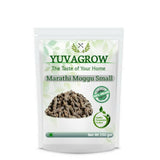 Yuvagrow Marathi Moggu Small - Safuron