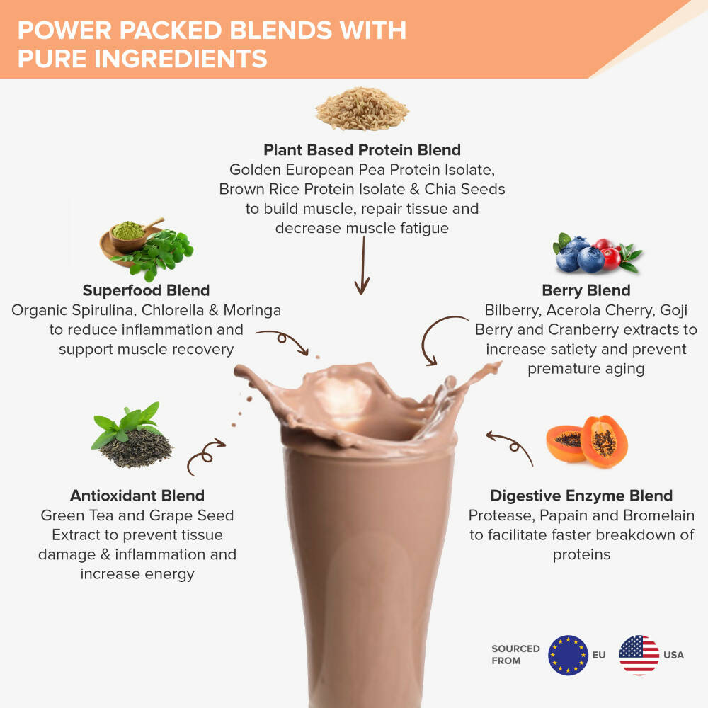 Wellbeing Nutrition Superfood Plant Protein-Dark Chocolate Hazelnut Wellbeing Nutrition