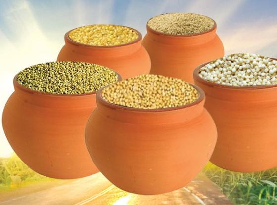 Siridhanyalu Millets - Siridhanya 5 Types Of Unpolished Organic Millets Rice Little, Kodo, Browntop Barnyard & Foxtail Millets