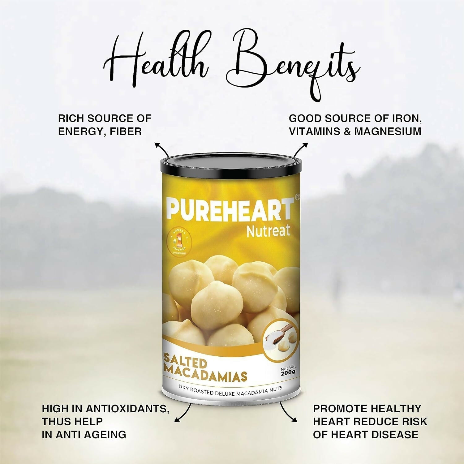 Pureheart Nutreat Salted Macadamia|Premium Dry Roasted Macadamia Nuts Pureheart