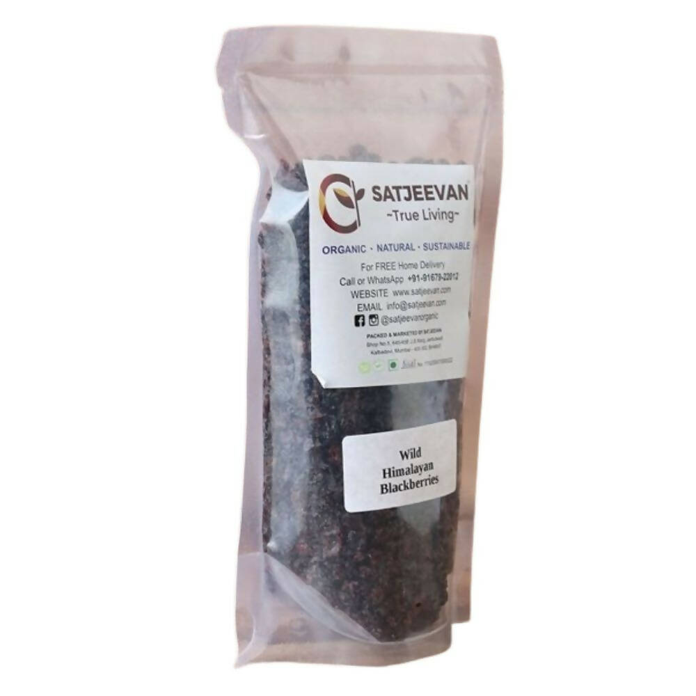 Satjeevan Wild Himalayan Blackberries Satjeevan