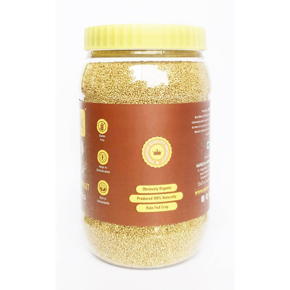 Nature's Trunk Brown Top Millets (Andu Korralu) - Safuron