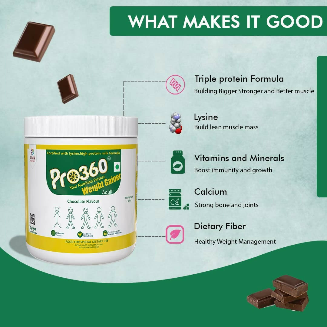 Pro360 Weight Gainer Powder Pro360