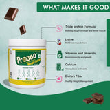 Pro360 Weight Gainer Powder Pro360