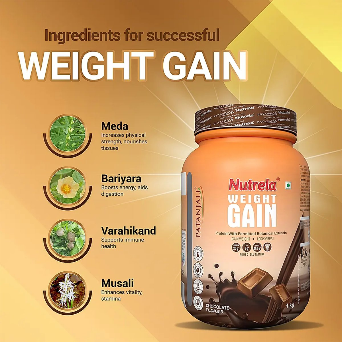 Patanjali Nutrela Weight Gain Chocolate Flavour Patanjali