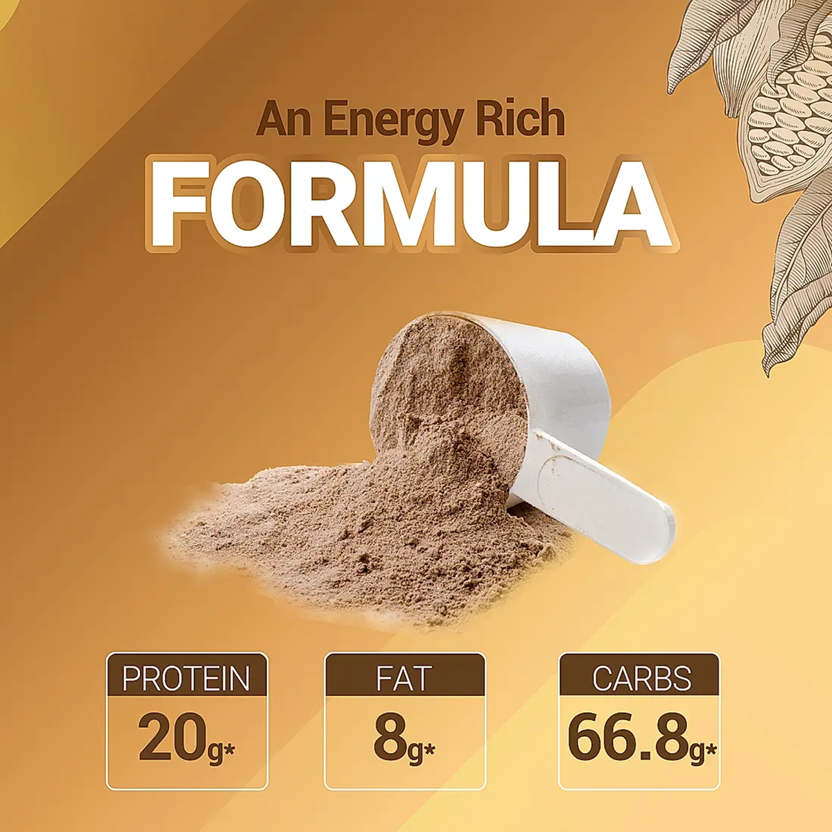 Patanjali Nutrela Weight Gain Chocolate Flavour Patanjali