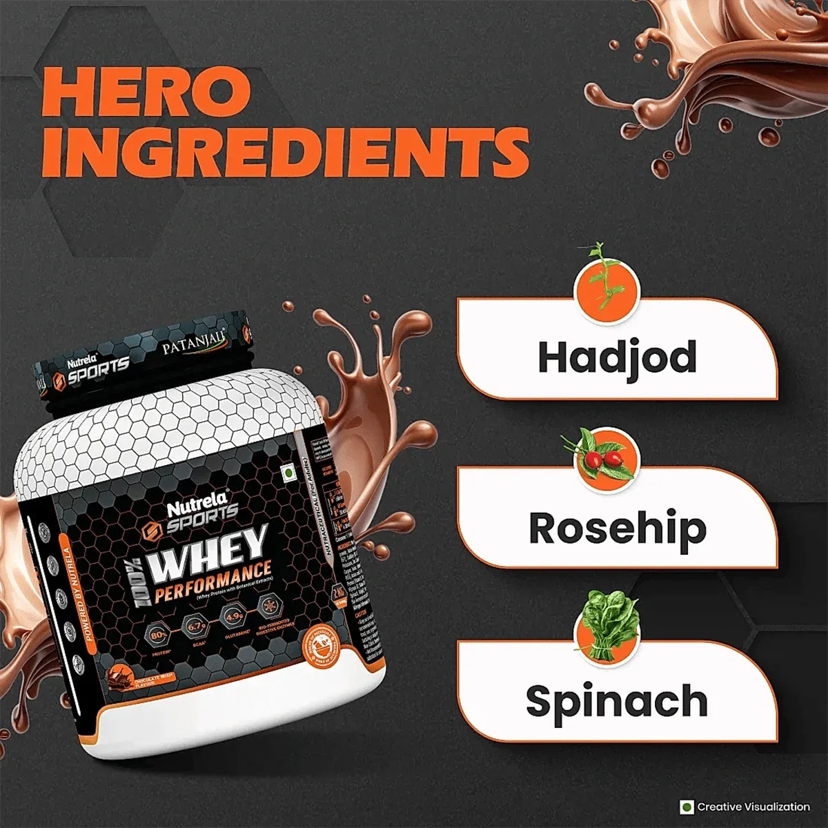 Patanjali Nutrela Sports Whey Performance (Choc-irish) Patanjali