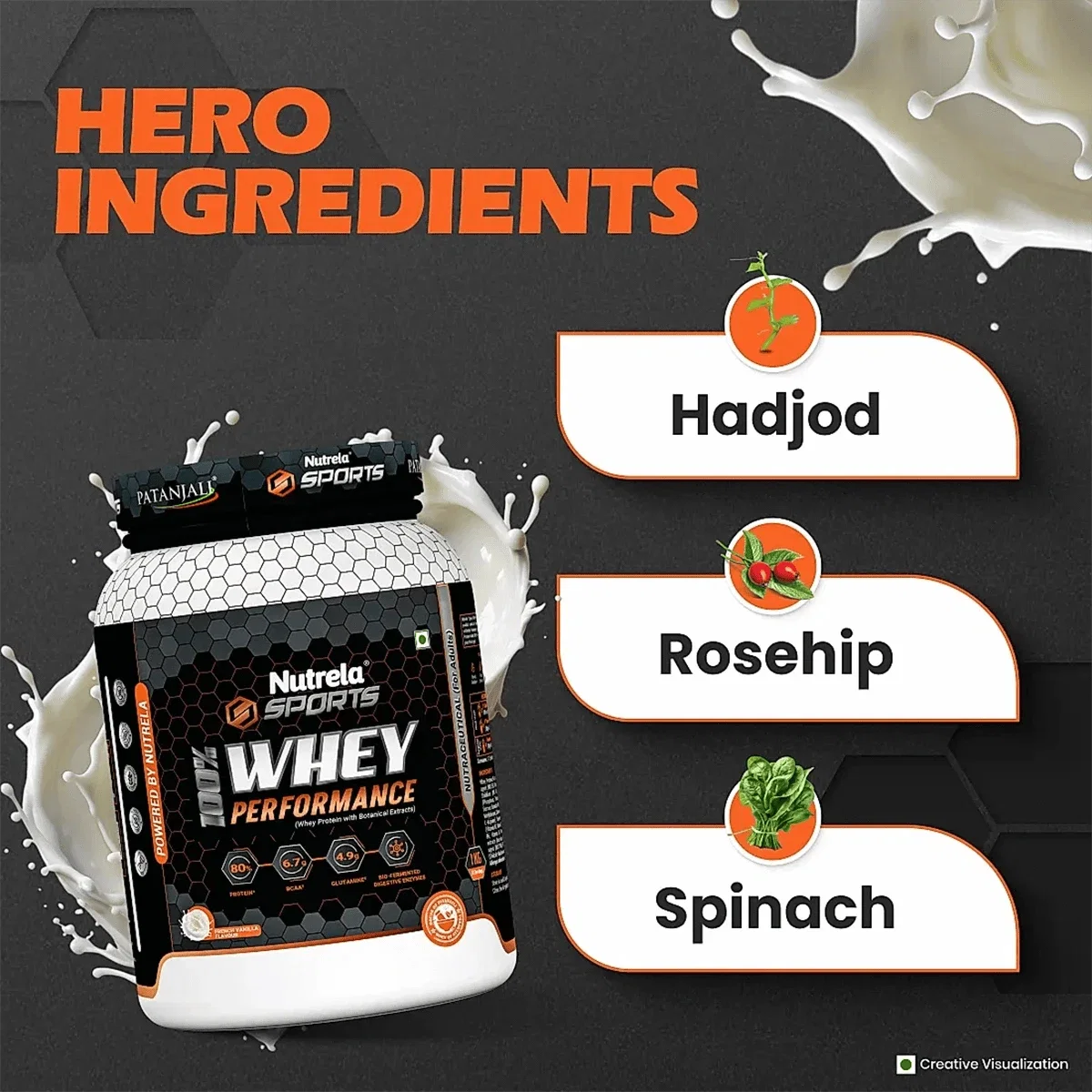 Patanjali Nutrela Sports Whey Performance (Fvic) Patanjali