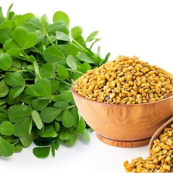 Freshon Fenugreek Seeds / Mente (Methi Seeds) Freshon