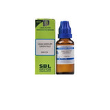 SBL Homeopathy Anacardium Orientale Dilution - Safuron