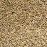Freshon Pearl Millet - Natural Freshon