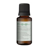 Korus Essential Peppermint Essential Oil - Therapeutic Grade Korus Essential