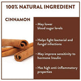 Teamonk Nilgiris Taizen Cinnamon Green Tea Leaves (50 Cups) Teamonk