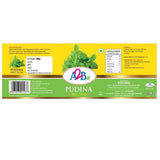 A2B - Adyar Ananda Bhavan Pudina Rice Paste Adyar Ananda Bhavan