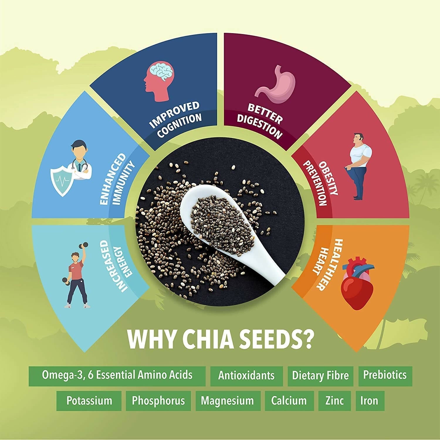 Fulsome Premium Raw Black Chia Seeds Fulsome