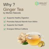 Merlion Naturals Ginger Tea Bags Merlion Naturals